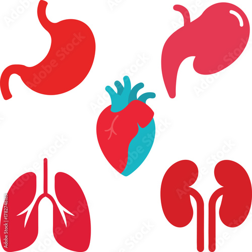 vector illustration of a set of human parts of the body