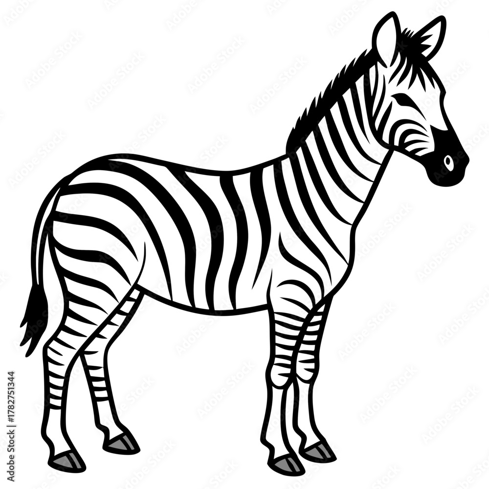 Obraz premium Clean Zebra Vector 