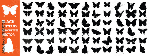 Black butterfly silhouettes. Outline butterflies romantic tattoo, tropical insects stencil. Summer and spring exotic symbols isolated vector set. Elegant wild flying moth of various shapes , big set 