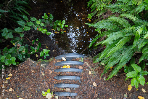 Black corrugated culvert pipe releases a gentle flow of water from beneath a narrow dirt hiking trail into a small woodland stream. The ribbed plastic outlet is partially embedded in the earthy bank, 