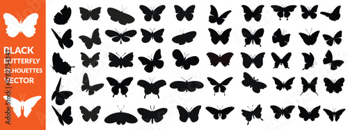 Black butterfly silhouettes. Outline butterflies romantic tattoo, tropical insects stencil. Summer and spring exotic symbols isolated vector set. Elegant wild flying moth of various shapes , big set 