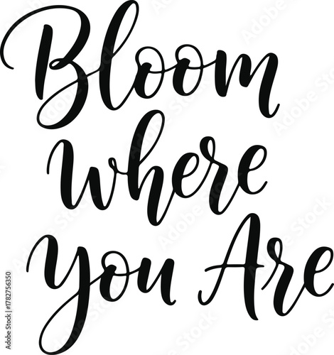 Inspirational quote Bloom where you Are in elegant black calligraphy script.
