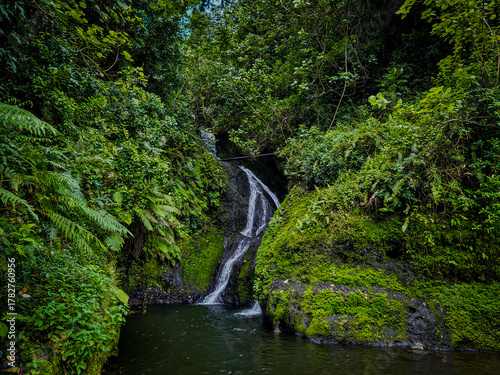 Tableau sur toile Waterfall in Lush Rainforest