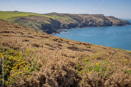 The rugged coast of St. Michael's Island at Stumble Head.
