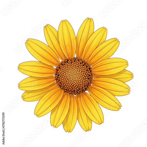 Bright Yellow Blossom on White: Isolated Floral Nature Element