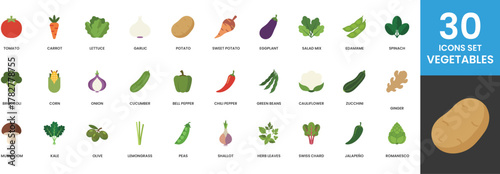 Thirty Vegetable Icons Set Flat Design Tomato Carrot Lettuce Garlic Potato Sweet Potato Eggplant Salad Mix Edamame Spinach Broccoli Corn Onion Cucumber Bell