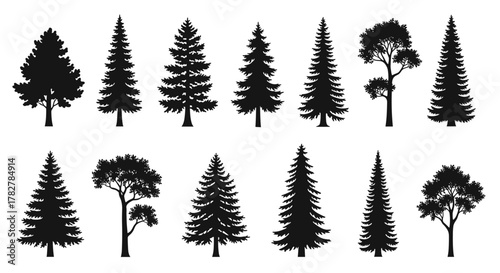 Collection of evergreen trees silhouette vector illustration for design elements and nature concepts use