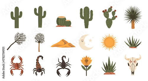 Illustration of desert flora and fauna including cactus scorpions and moon for graphic design art
