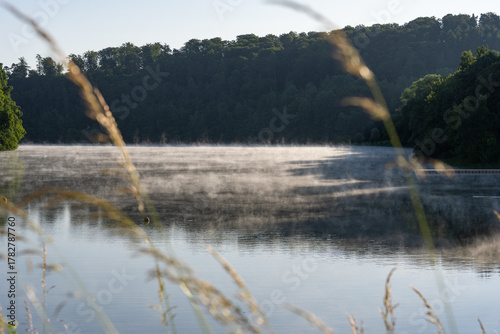 lake with early fog