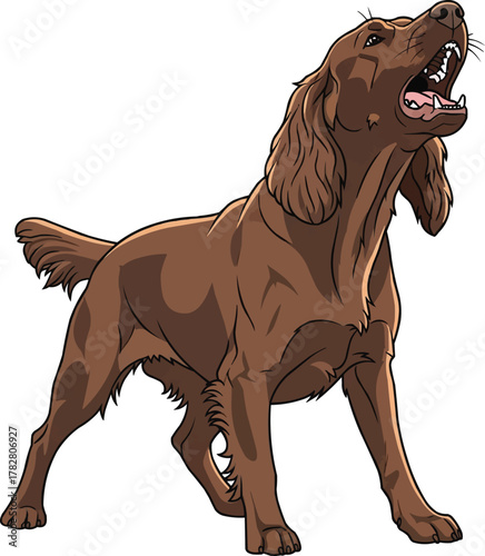 German Spaniel dog barking aggressive vector illustration