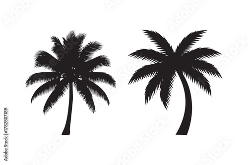 Silhouettes of two tropical palm trees on a white background