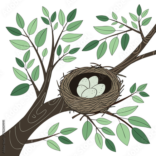 Bird Nest with Eggs on Tree Branch with Green Leaves