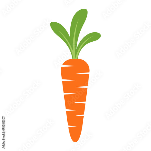 A simple illustration of a bright orange carrot with green leaves