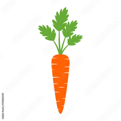 Simple illustration of a bright orange carrot with green leafy tops