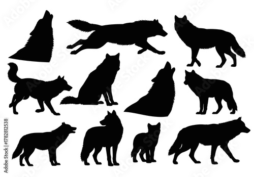 Black silhouettes of various wolf poses against a white background
