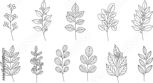 Collection of decorative floral sprigs isolated on white background