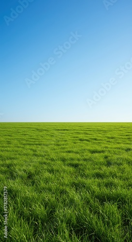 A tranquil scene featuring a vast, rolling green grass landscape stretching toward the distant horizon under a bright, sunny blue sky, wide, terrain, bright