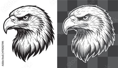Vintage vector engraving illustration of eagle head with sharp eyes and detailed feathers isolated on transparent background, monochrome and outline design symbolizing freedom and strength