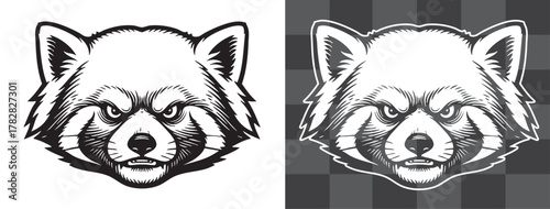 Vintage vector engraving illustration of raccoon head in monochrome and outline styles isolated on transparent background, detailed wildlife artwork representing curiosity and intelligence