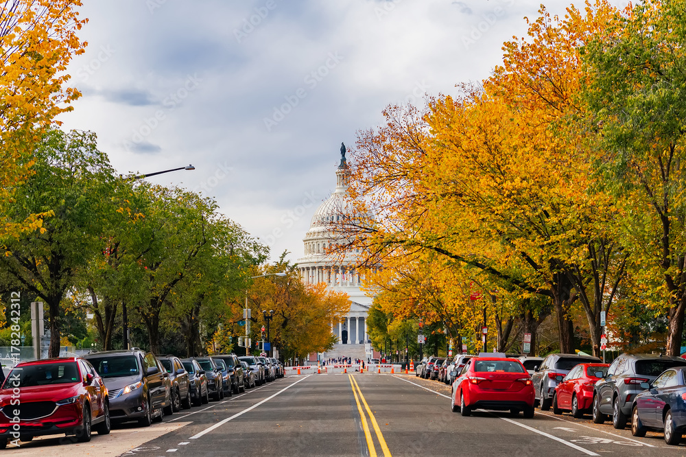 Obraz premium Washington DC Capitol framed by golden autumn leaves