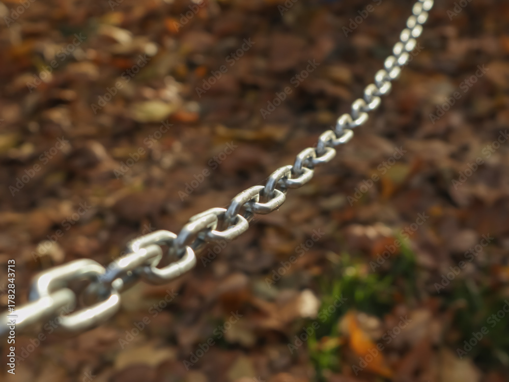 Obraz premium Close-up of a metal chain with shallow depth of field against blurred autumn leaves. Concept of connection, strength, or restriction in a natural outdoor setting