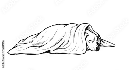 Cozy sketch of a blanket over sleeping dog for a pet care blog or veterinary clinic branding