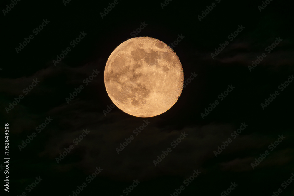 Obraz premium full moon in the sky