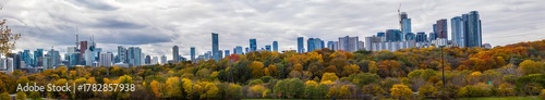 Photography Toronto downtown skyline from Riverdale Park East