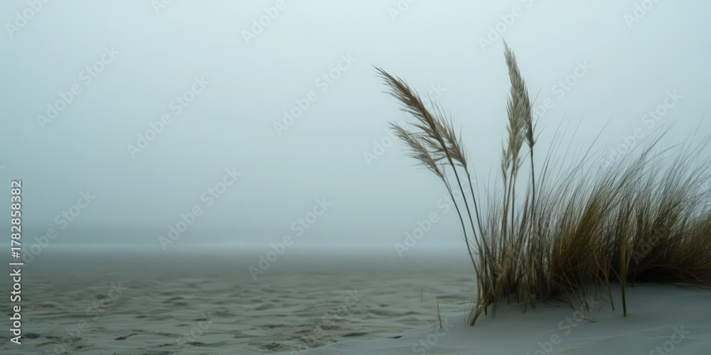 Fototapeta premium Beach straw on a calm foggy day at the sea