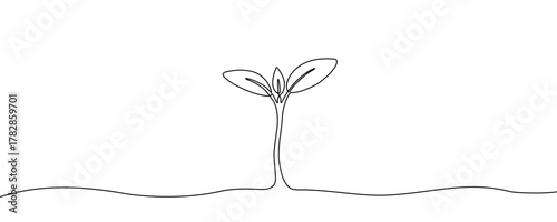 Seedling in one line art style. Drawing of a young plant with three green leaves, with editable black stroke on a white background. Vector illustration.