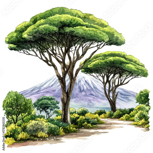 Mount Kilimanjaro, watercolor illustration vector, isolated on a white background.