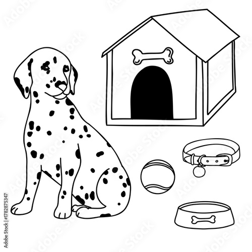 Hand drawn vector doodle set with cute dalmatian puppy and items for dogs