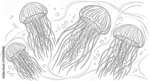 Elegant black and white illustration of floating jellyfish in the ocean