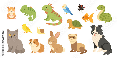 colorful collection of pet animals, bright flat illustrations of various pets and reptiles, vivid icons representing small pet animals and reptiles in playful style