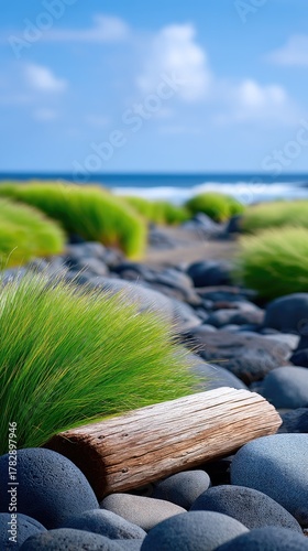 Textured Driftwood Rests on a Rocky Shoreline Amidst Green Coastal Grass Under a Bright Blue Sky with Distant Ocean Waves