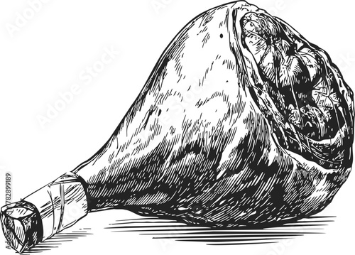 Ham leg sketch, hand drawn style, detailed whole cured meat with bone — stock vector