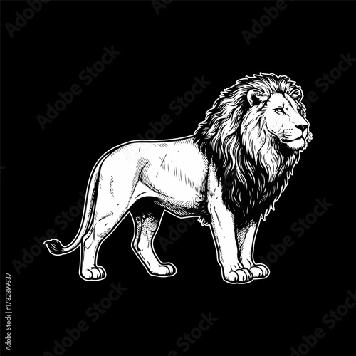 Lion Vector Illustration