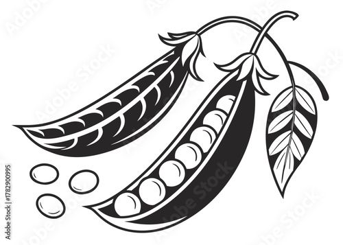 Stylized black and white peas in pods with leaves