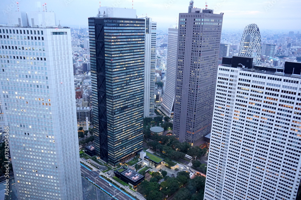 Obraz premium 高層ビルがそびえ立つ大都会のスカイラインを捉えた広角の写真で近代的な建築群とその間にわずかに見える緑地が印象的です