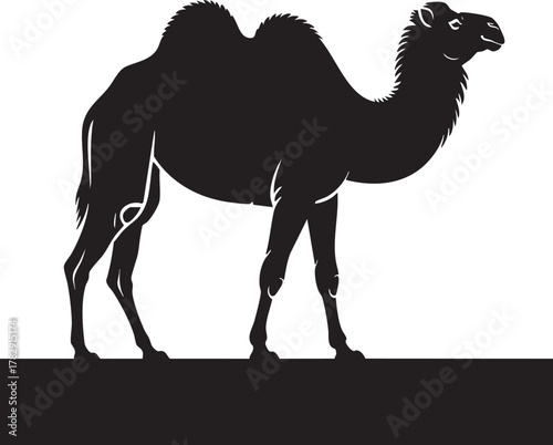A striking black silhouette of a dromedary camel stands against a bright, almost white background, with a dark ground line.