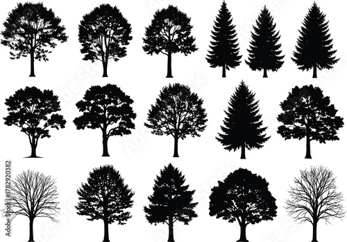 Black tree silhouettes collection, forest tree vector set, nature design elements, isolated deciduous and pine trees, landscape illustration for eco projects