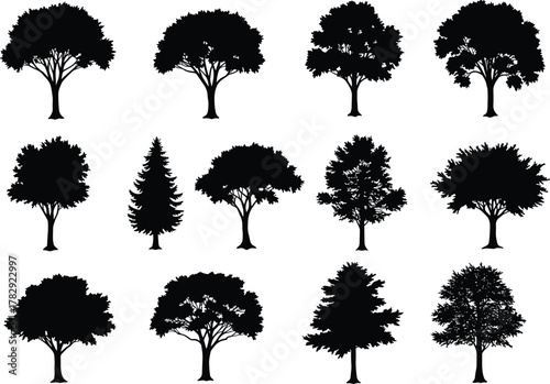 Collection of diverse tree silhouette vector illustrations, natural forest elements, black and white botanical design set, isolated plant shapes for eco backgrounds, decoration