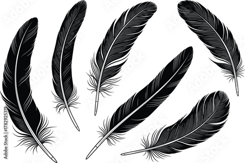 Elegant floating feather silhouettes collection, detailed hand drawn quill vector artwork, natural boho bird feathers design, isolated ink style illustration for decorative creative projects