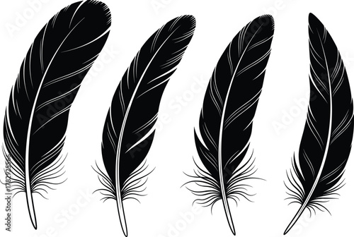 Elegant black feather silhouettes collection, detailed decorative bird quill design, natural organic vector illustration, boho style elements, isolated on white background, minimalist aesthetic art