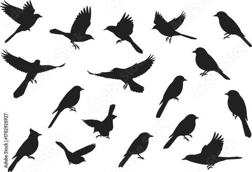 Flying and perched bird silhouettes collection isolated on white background, wildlife vector illustration design, nature animal shapes, freedom and flight concept