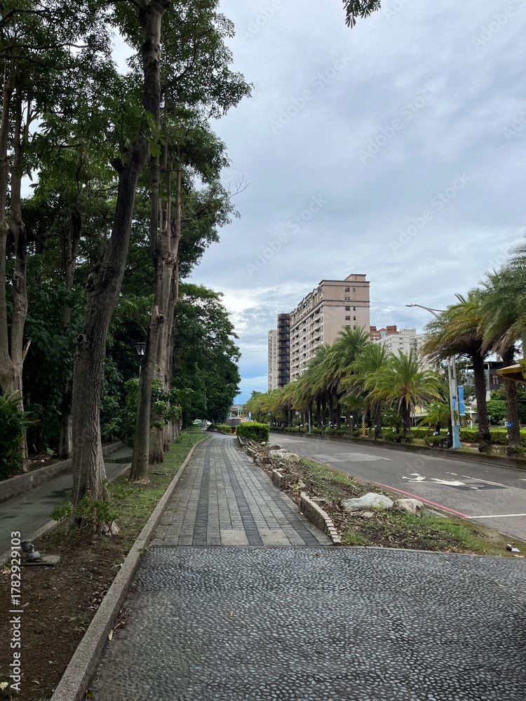 Fototapeta premium 淡水の道