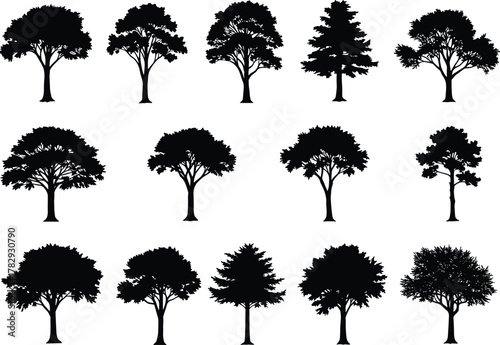 Set of different tree silhouettes, black isolated forest elements, nature landscape design shapes, various deciduous and evergreen plants vector illustration collection for design