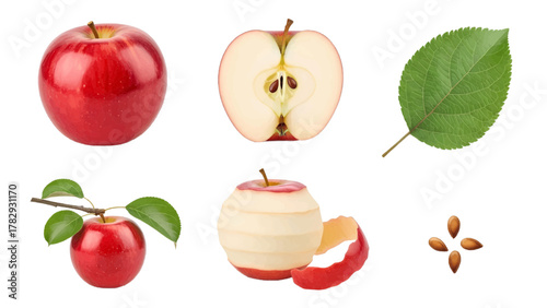 Vector illustration of collection of red apples, one sliced, one peeled, and apple seeds on a white background