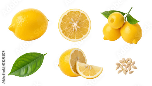 Vector illustration of collection of fresh lemons, a lemon slice, a leaf, and seeds on a white background