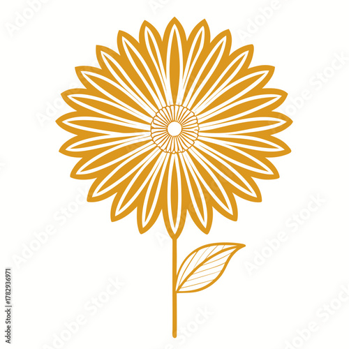 golden marguerite perennial line art flower